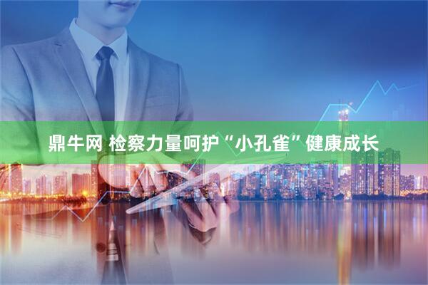 鼎牛网 检察力量呵护“小孔雀”健康成长
