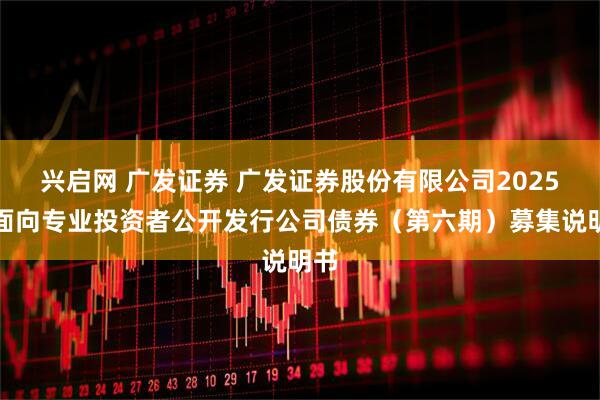 兴启网 广发证券 广发证券股份有限公司2025年面向专业投资者公开发行公司债券（第六期）募集说明书