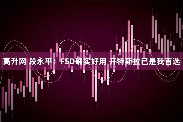 高升网 段永平：FSD确实好用 开特斯拉已是我首选